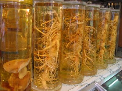 Ginseng in Korea.jpg