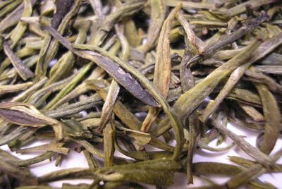 Huoshan Huangya tea leaves close.jpg