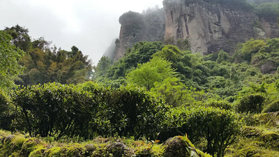 Mount Wuyi