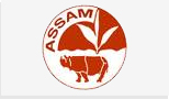 Assam-tea.jpg