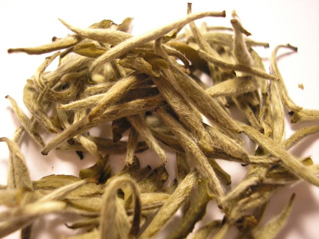 Archivo:Bai Hao Yin Zhen tea leaf (Fuding).jpg